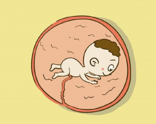 香港验血多长时间出结果,不孕不育做泰国试管婴儿一般医疗费用需要多少不孕