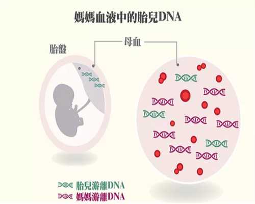 香港验血跟b超结果不一致,南通成功培育首例亚欧混血试管婴儿