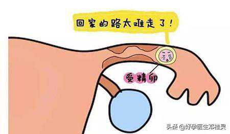 怀孕六周能做香港验血吗,38岁高龄备孕：胎停5次，宫外孕2次，试管失败，我还