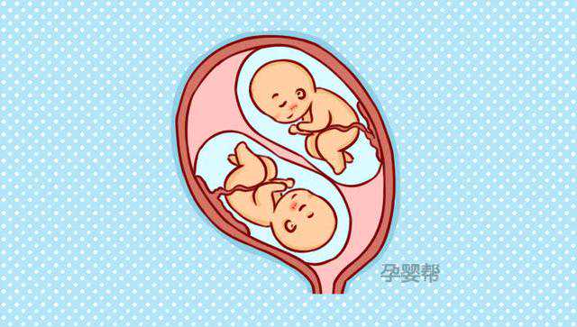香港验血男女是不是准确,想生“双胞胎”的有福了，备孕时做好这4点，有效提