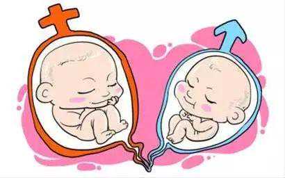 给香港验血需要几天,试管婴儿能决定生男女吗？通过试管能要双胞胎或者龙凤