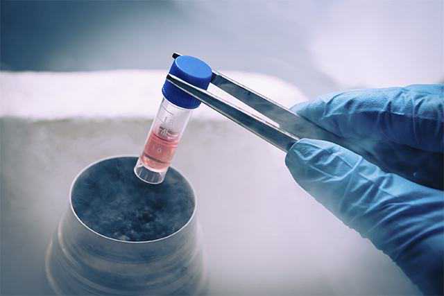 香港验血为什么非得怀孕七周,试管婴儿冷冻胚胎VS新鲜胚胎，哪种技术更好？