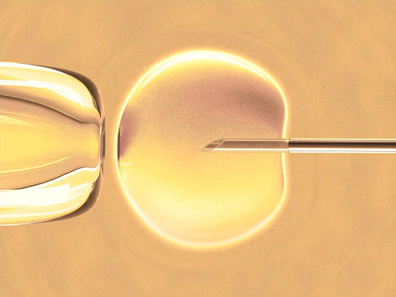 香港验血测男女的化验所,双子座优生：备孕困难！卵巢早衰找上门，怎么办？