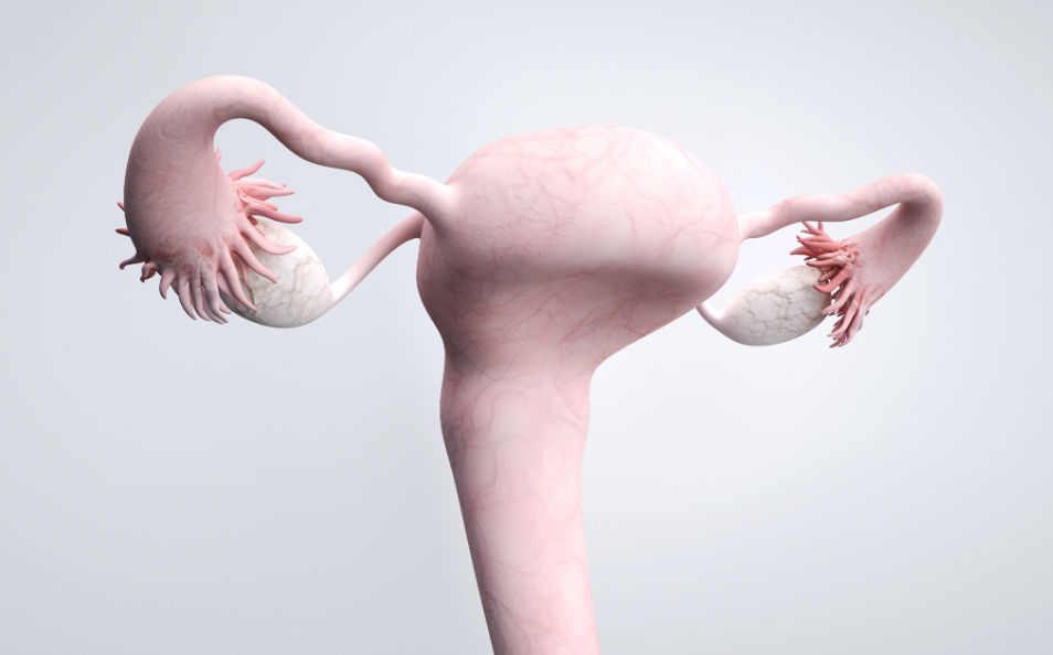 香港验血测胎儿性别要几周,子宫肌瘤做试管成功经验总结