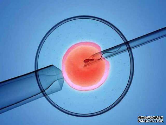 香港验血检测男女最佳时间_香港抽血鉴定就能知道宝宝性别，遇到这些情况